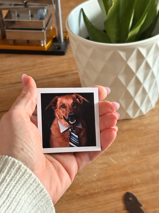 Square w/ White frame