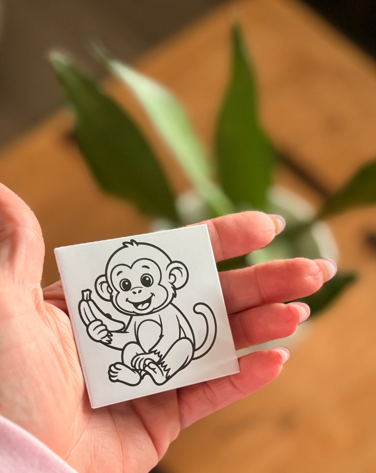 Safari Set