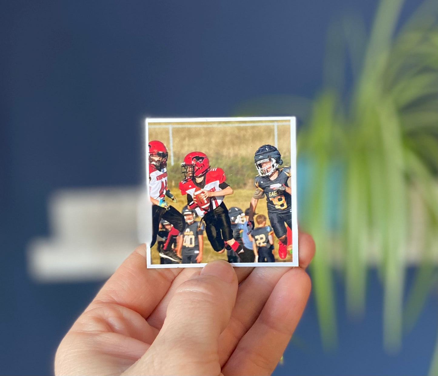 Square w/ White frame